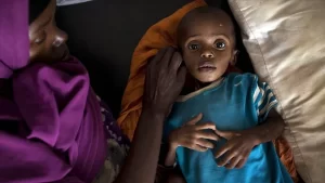 Somali merkezli "Garowe" adlı haber sitesinin haberine göre, kuraklığa bağlı