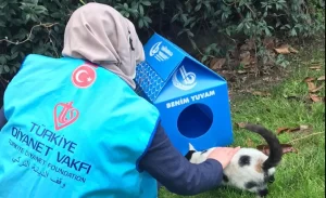 İstanbul Bağcılar İlçe Müftülüğü ve Türkiye Diyanet Vakfı Bağcılar Şubesi,
