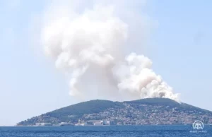 Heybeliada'da ormanlık alanda çıkan yangına itfaiye ekipleri müdahale ediy