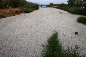 Yunanistan'ın orta kesiminde bulunan Volos kentinde 27 Ağustos'ta binlerce ölü