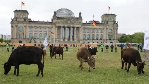 Almanya'nın başkenti Berlin'de çevre örgütü Greenpeace ve Kırsal Tarım İçin