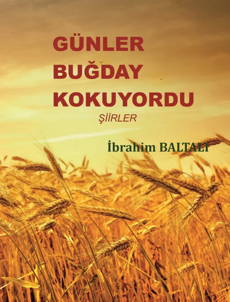 İbrahim Baltalı’nın şiir kitabı yayımlandı