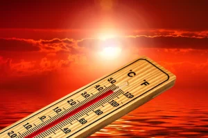 Fransa'da temmuz ayında kavurucu sıcaklar nedeniyle 7-13 Temmuz tarihlerinde, ilk