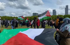 Hollanda'nın Lahey, Utrecht, Maastricht ve Terneuzen kentlerinde toplanan göstericiler, İsrail'in