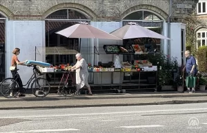 Danimarka Ulusal Sağlık Kurulu, ülkedeki yeni tip virüs salgınının tamamen