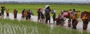 Bangladeş, 100 bin Arakanlı Müslüman'ı Myanmar sınırındaki kamplardan Bengal Körfezi'ndeki
