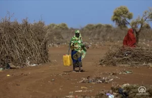Somali hükümeti, etkisini artıran kuraklık nedeniyle ülke genelinde "acil durum"