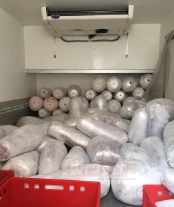 Almanya'da polis otoyolda soğuk hava depolu iki nakliye aracını durdurdu.