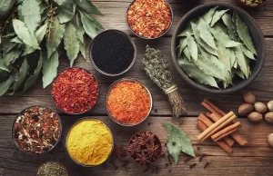 Sağlıklı bir yaşam sürmek için beslenmenin ne kadar önemli olduğu