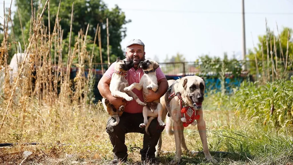 Evlerinde besledikleri hayvanlar "Hayattaki en yakın dostları"