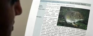 Çin'in resmi yayın kuruluşu Global Times'ın haberinde, ülkenin batısındaki Yunnan