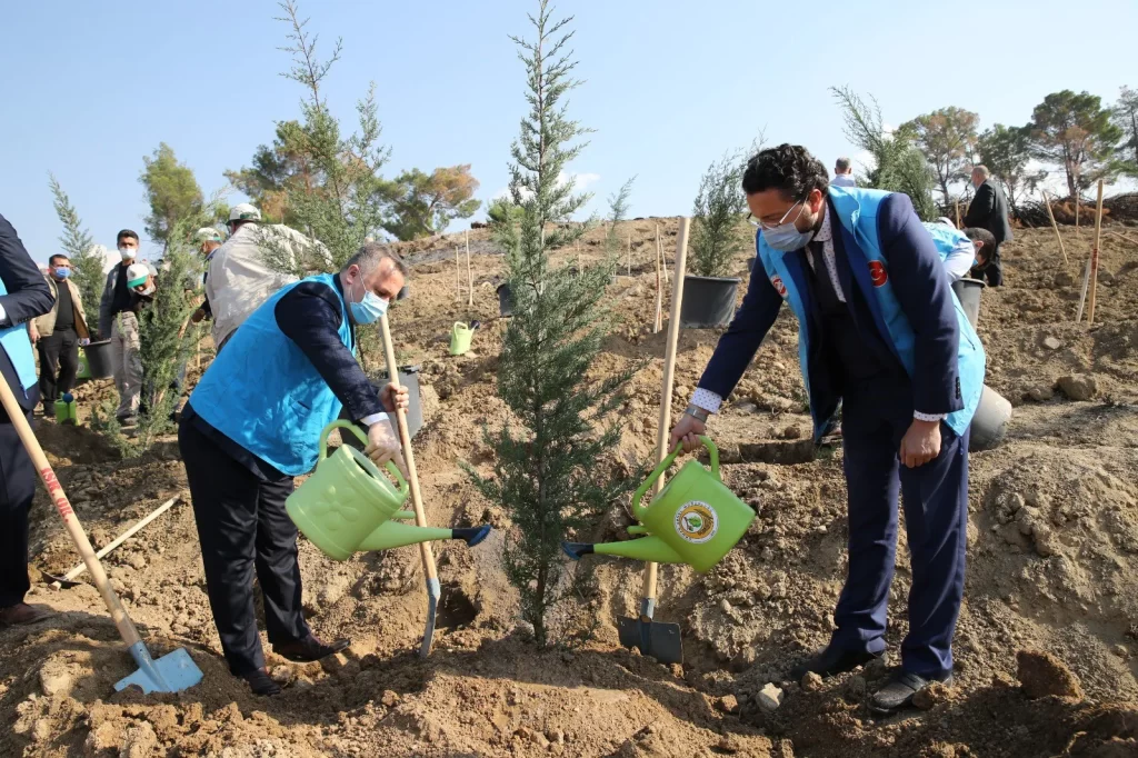 Mevlid-i Nebi Haftası münasebetiyle 50 bin fidan dikildi