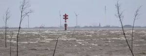 Almanya'da etkili olmaya başlayan Sabine Kasırgası hava ve demir yolu