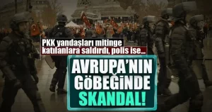 Fransa’nın başkenti Paris’te düzenlenen terör karşıtı mitingde, ellerinde demir çubuklar