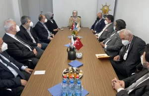 AK Parti Almanya Temsilcisi Meryem Göka, 15 Temmuz 2016'da FETÖ