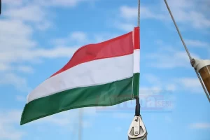 BRÜKSEL   Macaristan'da iktidardaki Macar Yurttaş Birliği (Fidesz) partisinin, son dönemde