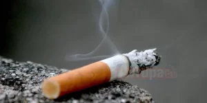 Kuzey Ren Vestfalya