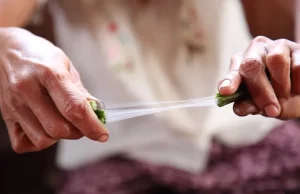 Lotus ipliği, dünyada sadece birkaç usta zanaatkar tarafından üretilen ve