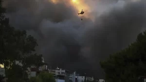 Yunanistan’ın başkenti Atina yakınlarındaki Aharnes belediyesine bağlı Varipombi bölgesinde ormanlık
