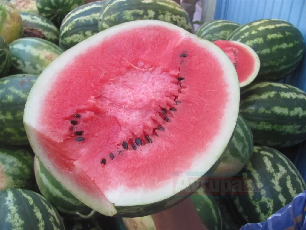 Karpuzun faydaları nelerdir? neye yararlıdır?