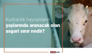 Kurbanlık hayvanların yaş sınırı, Hz. Peygamber’in sünneti ile tespit ve