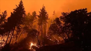 Almanya'da Saksonya eyaletinde, Çekya sınırındaki Saechsische-Schweiz-Osterzgebirge Bölgesi'ndeki orman yangının yayılmaya