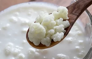 Bağırsak sağlığı, genel vücut sağlığımız üzerinde büyük bir etkiye sahiptir.