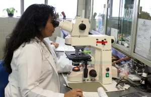 DNA soyağacı sorgulamanın 2016’dan beri popüler hale geldiği bildirilirken Almanya’da