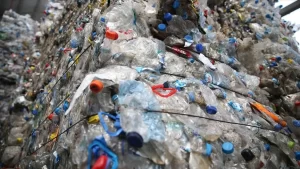 Yapılan bir araştırmada, dünyada kimyasal ve plastik atık sınırlarının büyük