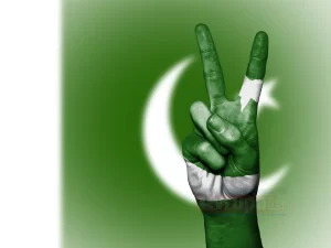 Pakistan Dışişleri Bakanlığından yapılan açıklamada, Ulusal Güvenlik Konseyi (NSC) toplantısında