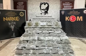 Kapısı'nda 266 kilo 489 gram skunk ele geçirildi Hamzabeyli Sınır