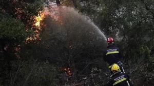 Yunanistan'da 10 günü aşkın süredir devam eden orman yangınlarına müdahalede