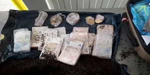 Sırbistan’da para yakalatan gurbetçilerin gün gün hikayesi. Sırp Gümrük Dairesi