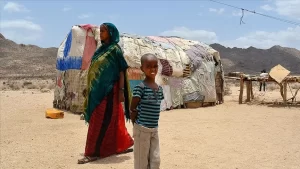 Birleşmiş Milletler (BM), Somali'den tek taraflı bağımsızlığını ilan eden Somaliland