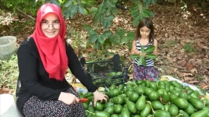 Antalya'nın Alanya ilçesinde, temizlik işlerinde çalışırken internet üzerinden avokado satmaya