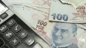 Türkiye'nin 2019 gelir vergisi rekortmeni isminin açıklanmasını istemedi, 2. sırada