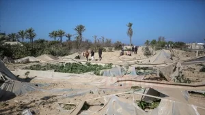 Hamas Sözcüsü Fevzi Berhum, yaptığı yazılı açıklamada, "İşgalci İsrail, Gazze'de