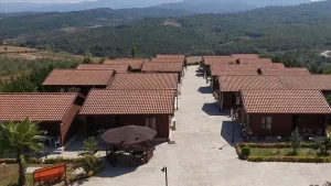 Aile, Çalışma ve Sosyal Hizmetler Bakanı Zehra Zümrüt Selçuk, yaptığı