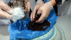 Tokat'ın Zile ilçesindeki Mesleki ve Teknik Anadolu Lisesinde, çöpe dökülen