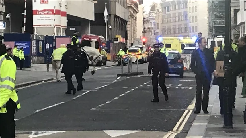 Londra'daki bıçaklı saldırıda 2 kişi öldü