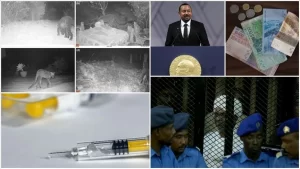 Sudan’da Ömer el-Beşir yönetimine yapılan darbe, Etiyopya Başbakanı Abiy Ahmed'in