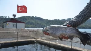 Kahramanmaraş'ta 48 tesiste bir yılda üretilen 6 bin 700 ton