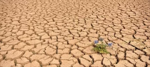 Birleşmiş Milletler Çevre Programı (UNEP), "Yeni tip koronavirüs (Kovid-19) salgını