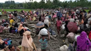Arakanlı Müslümanlar için yaptıkları çalışmalarla tanınan Özgür Rohingya Koalisyonu Kampanya