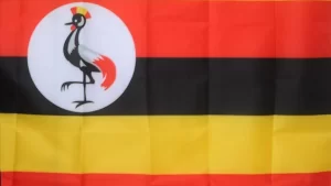 Uganda Müslüman Yüksek Konseyi (UMSC), İslam dinini tanıtmak ve Müslüman