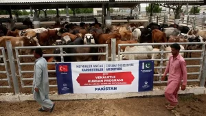 TDV Eğitim ve Kültür Hizmetleri Müdürü ve Pakistan kurban organizasyonu