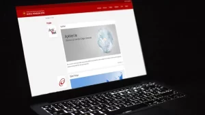 Dijital Türkiye Portalı'nın kullanıcı sayısı geçen yıl itibariyle 45 milyona