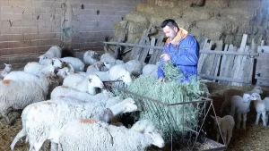 Uşak merkeze bağlı Susuzören köyünde yaşayan 28 yaşındaki Ferdi Aslan,