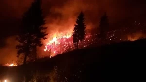 Trabzon Valiliğinden yapılan yazılı açıklamada, Akçaabat, Araklı, Arsin, Çaykara, Dernekpazarı,