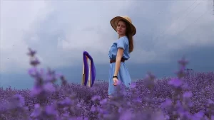 Tekirdağ'da fotoğraf tutkunları, lavanta tarlalarındaki güzellikleri karelerine yansıtırken, yeni tip